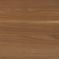 APL_110 - American walnut - Americky vlassky orech